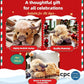 Kerst Nieuw Cadeau Speelgoed🐂🎁Schattig Beeldverhaal Hoogland Koe Knuffel Speelgoed