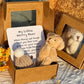 Handgemaakte Mini Pluche Teddybeer in Doos