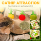 🐱Interactief Fruitvormig Kattenkruid Speelgoed met Touwtje!