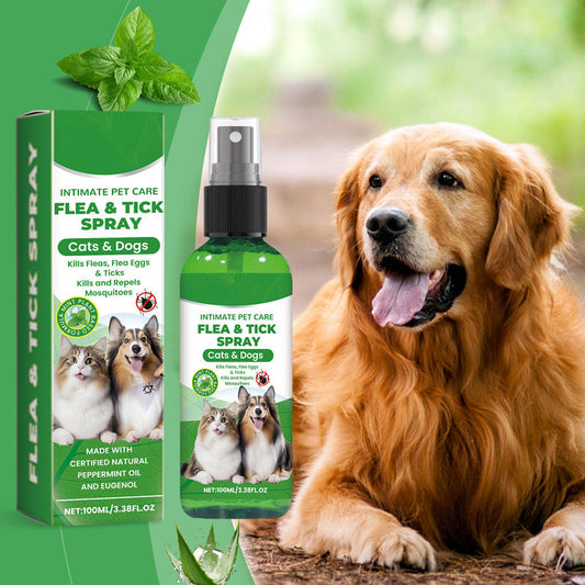 🍃Natuurlijke Vlooi- en Tekspray voor Honden en Katten🐾 Houd uw Geliefde Huisdier Vrij van Ongedierte