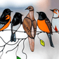 De Beste Geschenk-Vogel Gekleurde Raamhanger