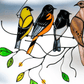 De Beste Geschenk-Vogel Gekleurde Raamhanger